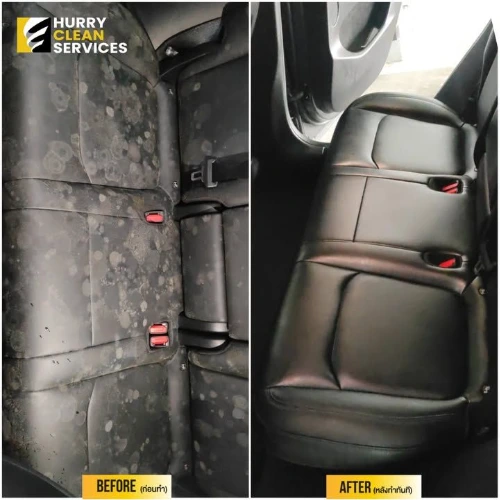 review from car-flood-mold