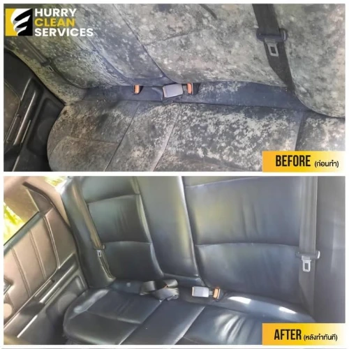 review from car-flood-mold