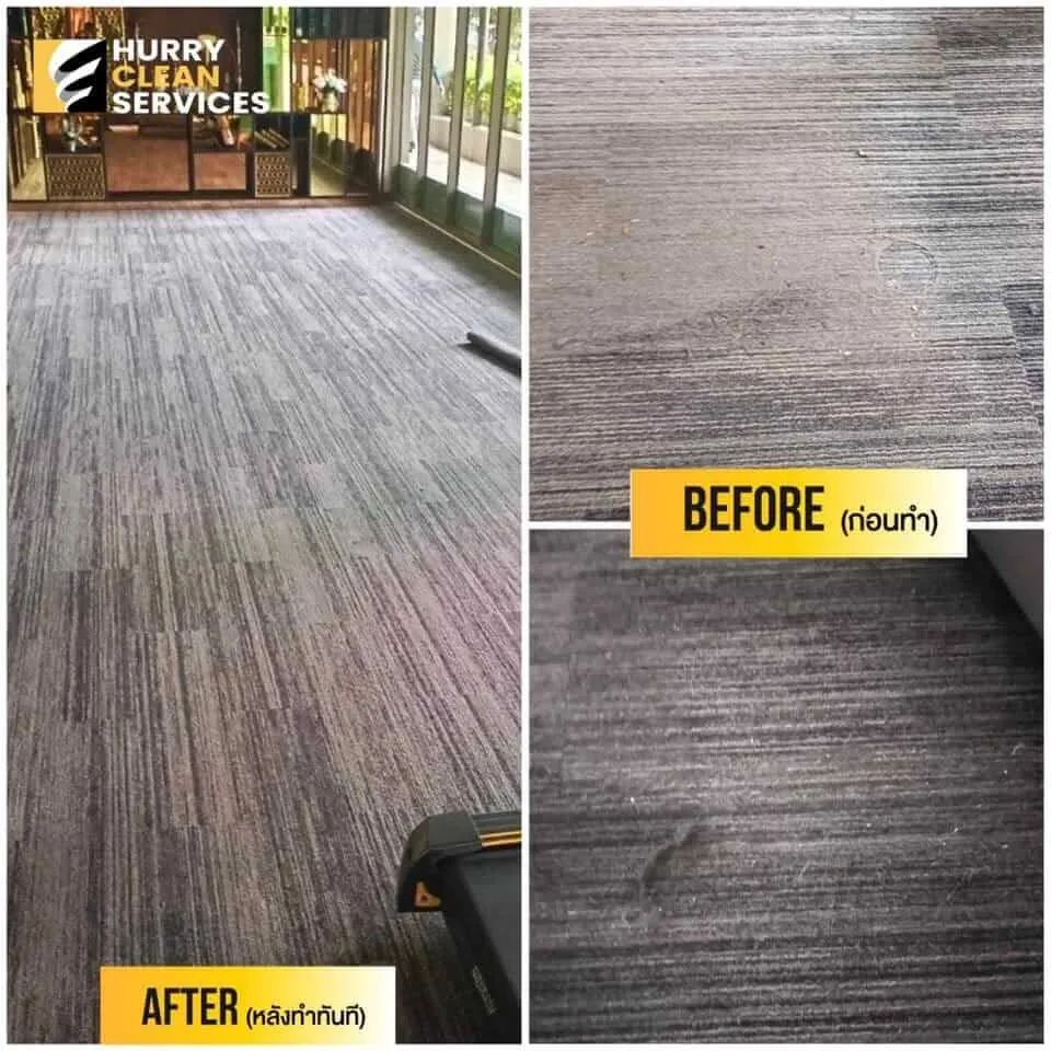 review from carpet