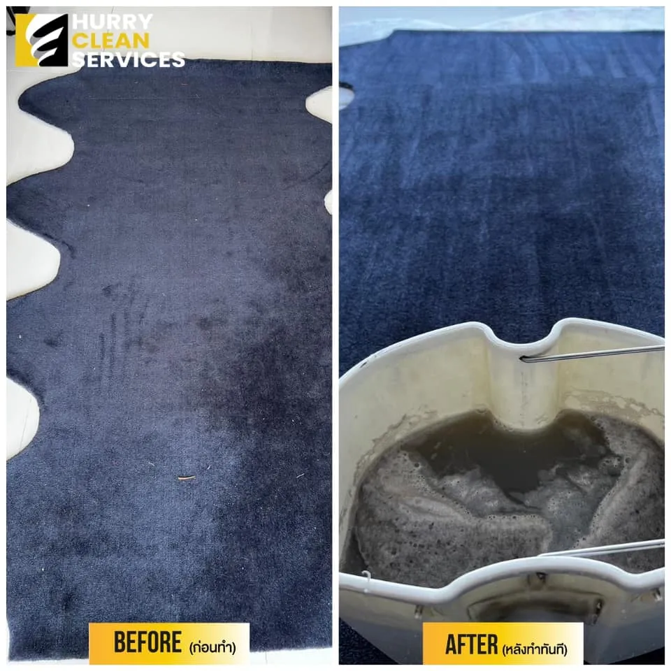 review from carpet