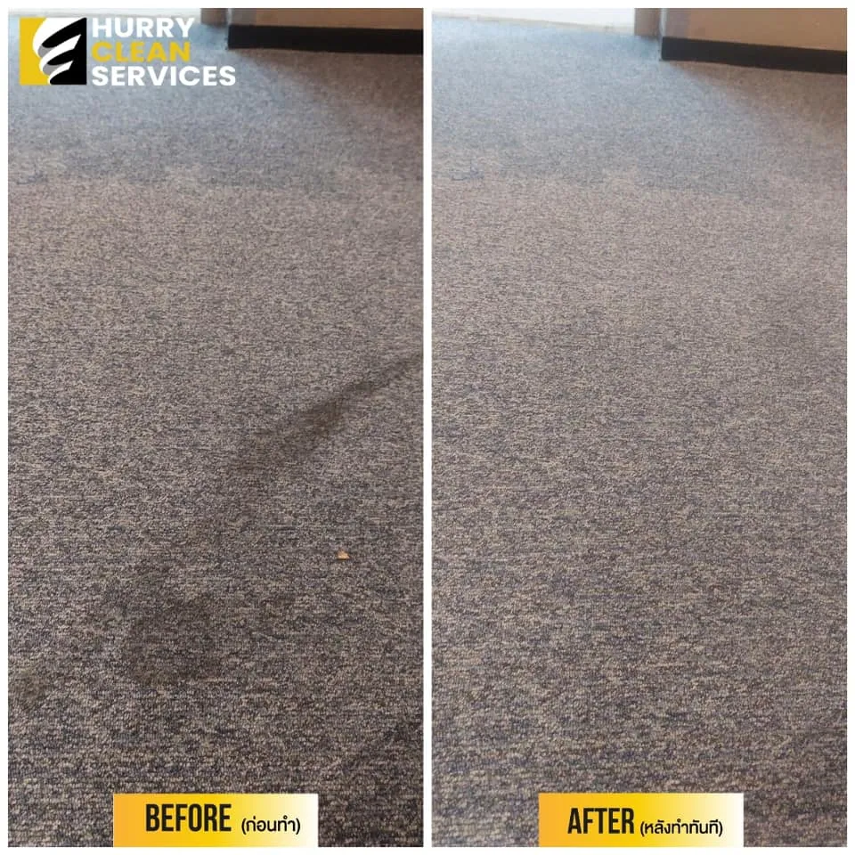 review from carpet