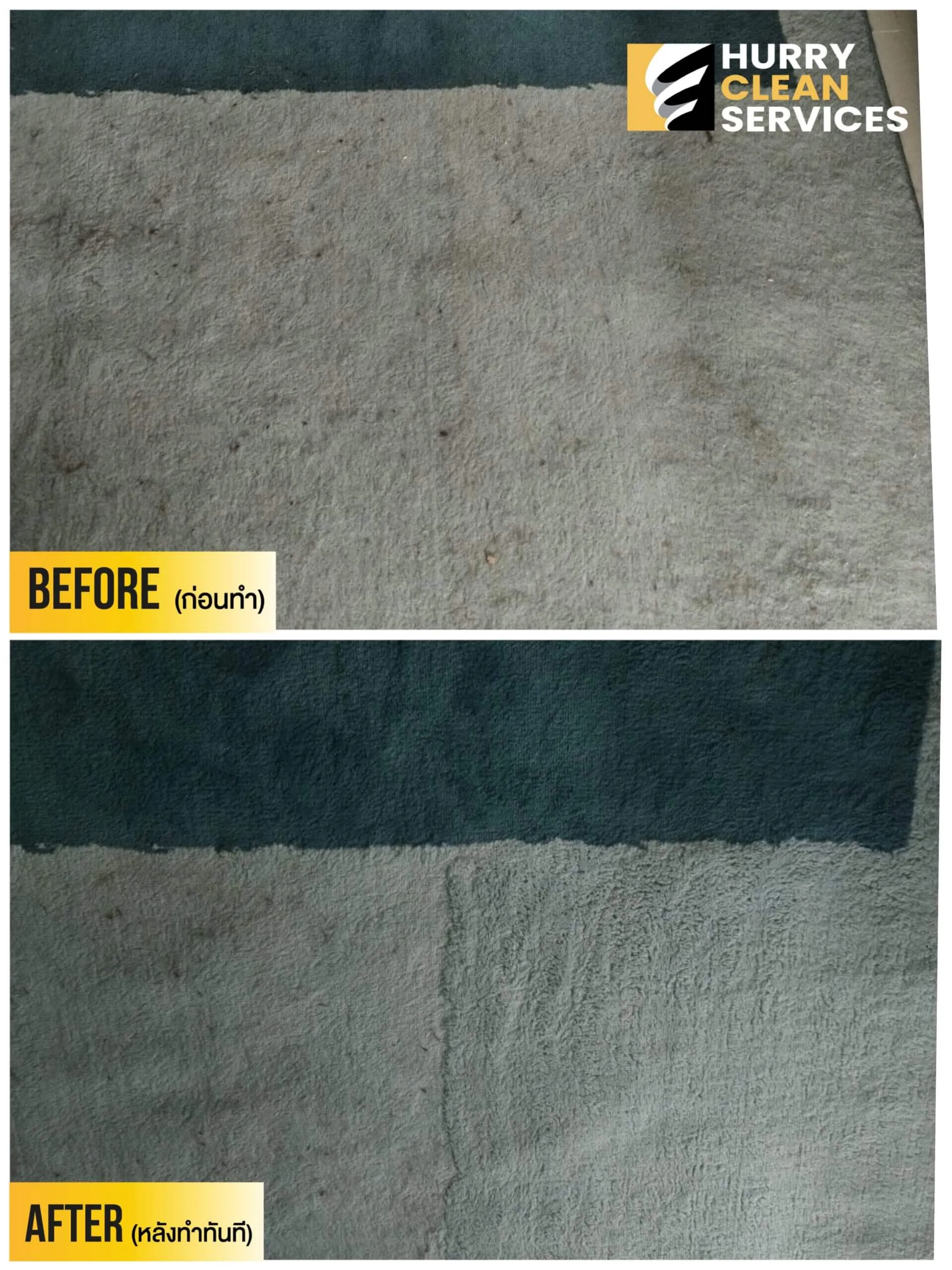 review from carpet