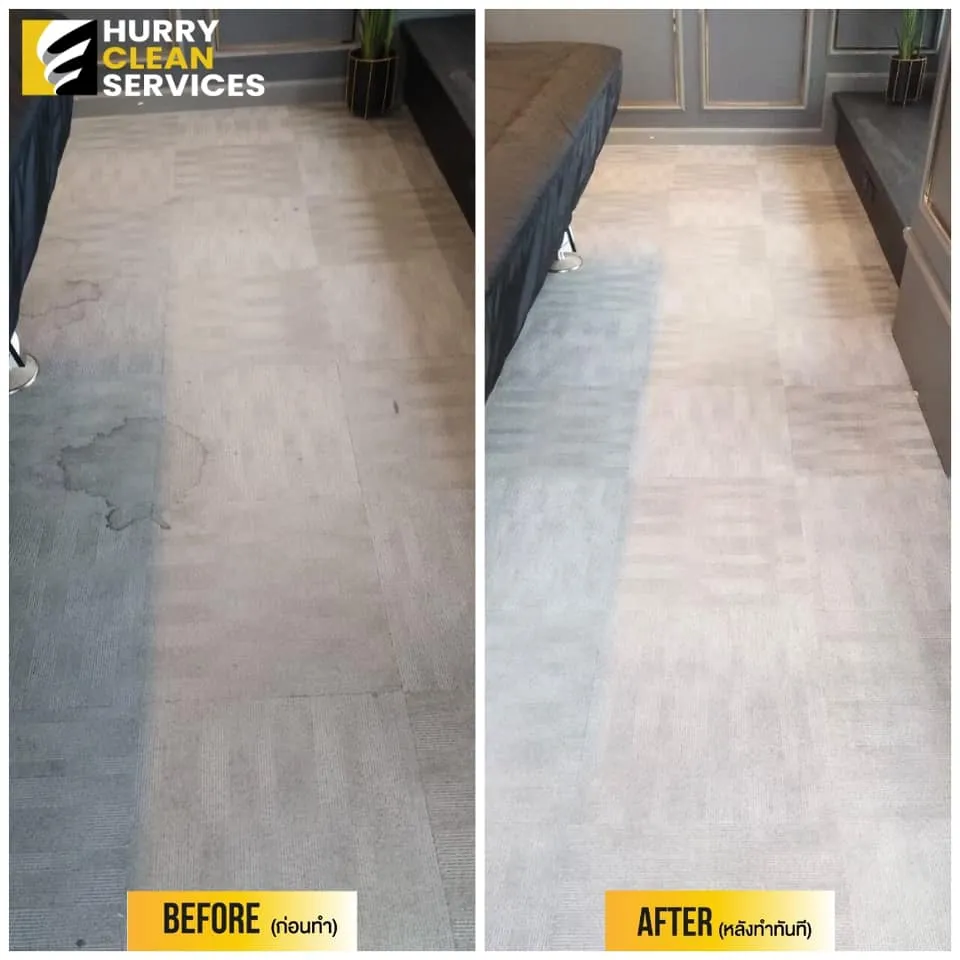 review from carpet