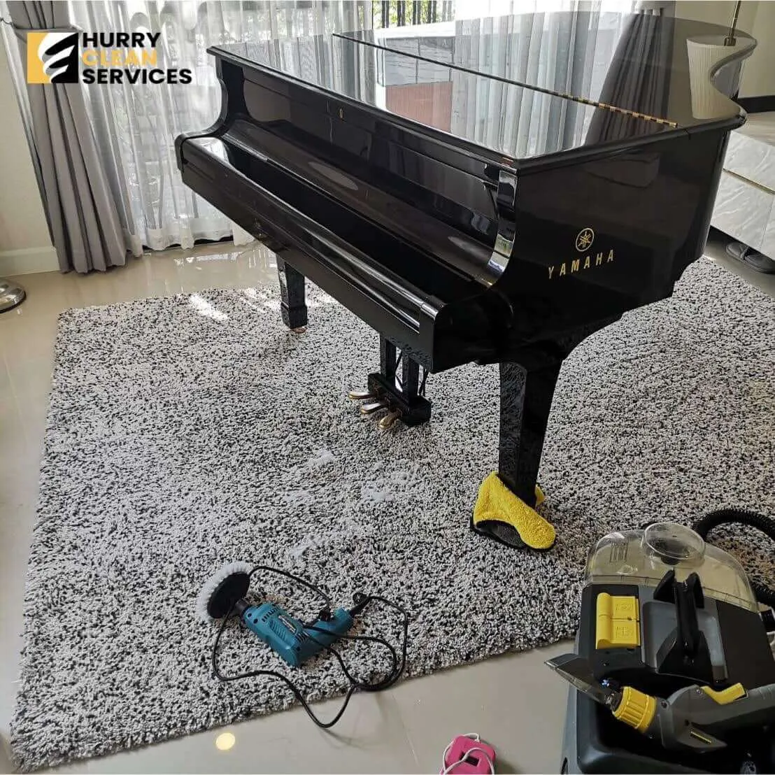 review from carpet
