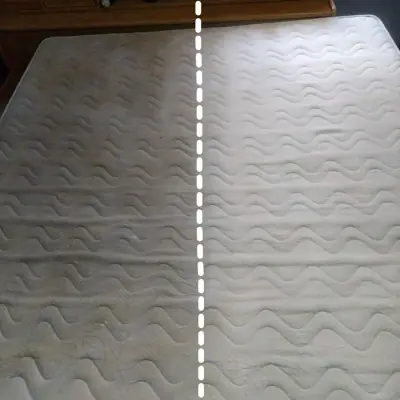 review from bed